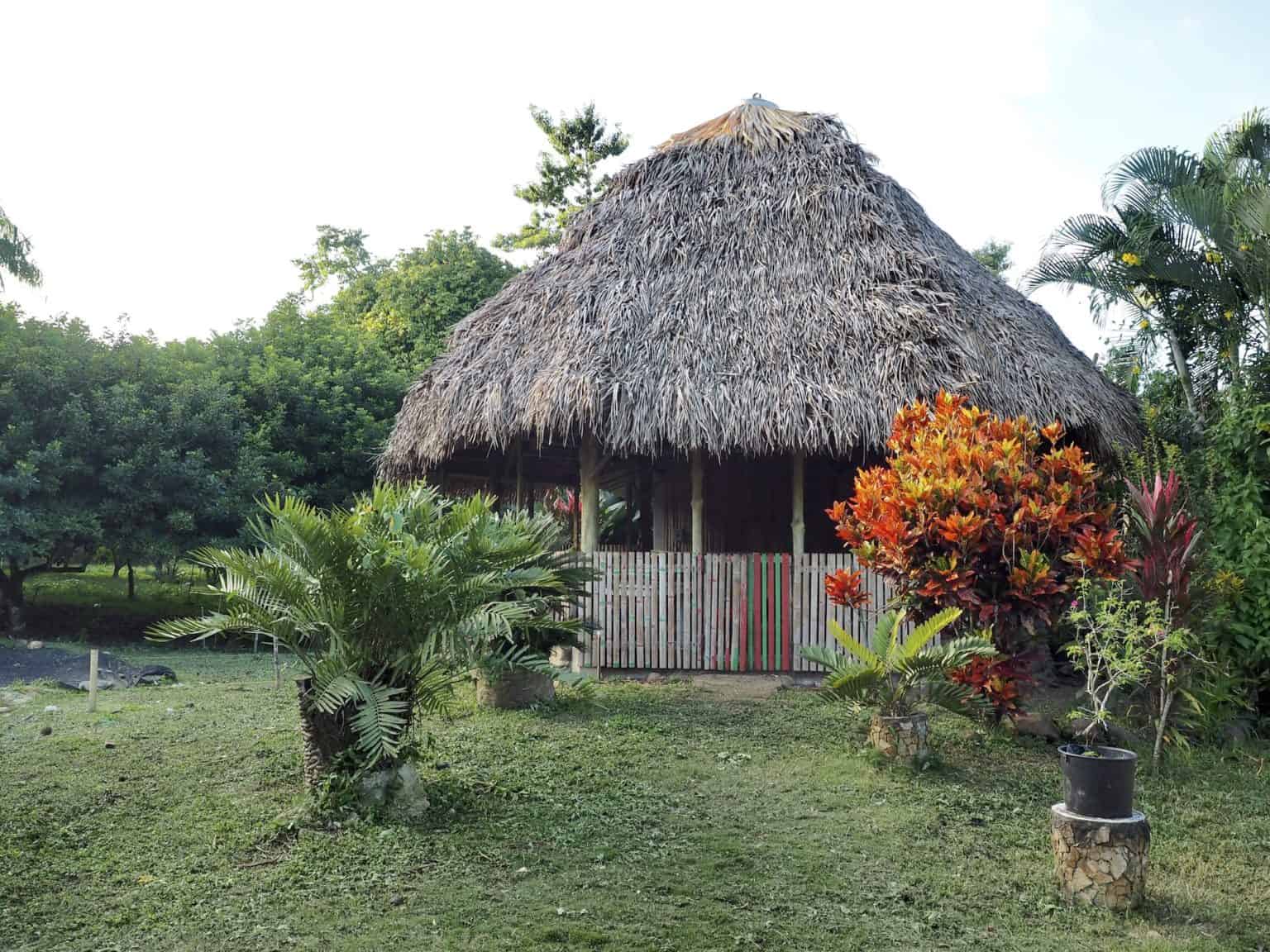 Vivero Frutas del Mundo Izabal - Exotic Fruit Nursery – Guate Adventure