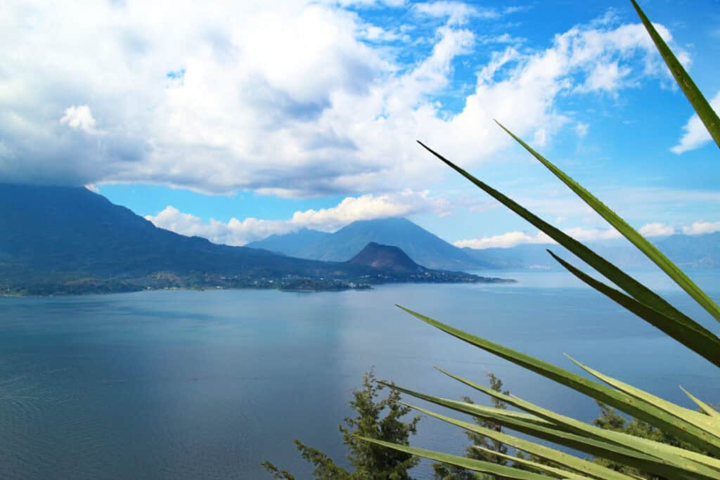 Una vista del Cerro de Oro, Tolimán y San Pedro en el Lago de Atitlán, con las hojas puntiagudas de Izote en primer plano.