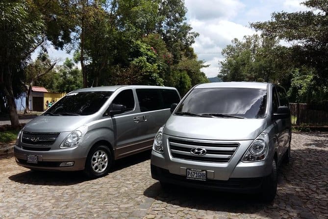 Dos microbuses plateados en una calle adoquinada con árboles al fondo.