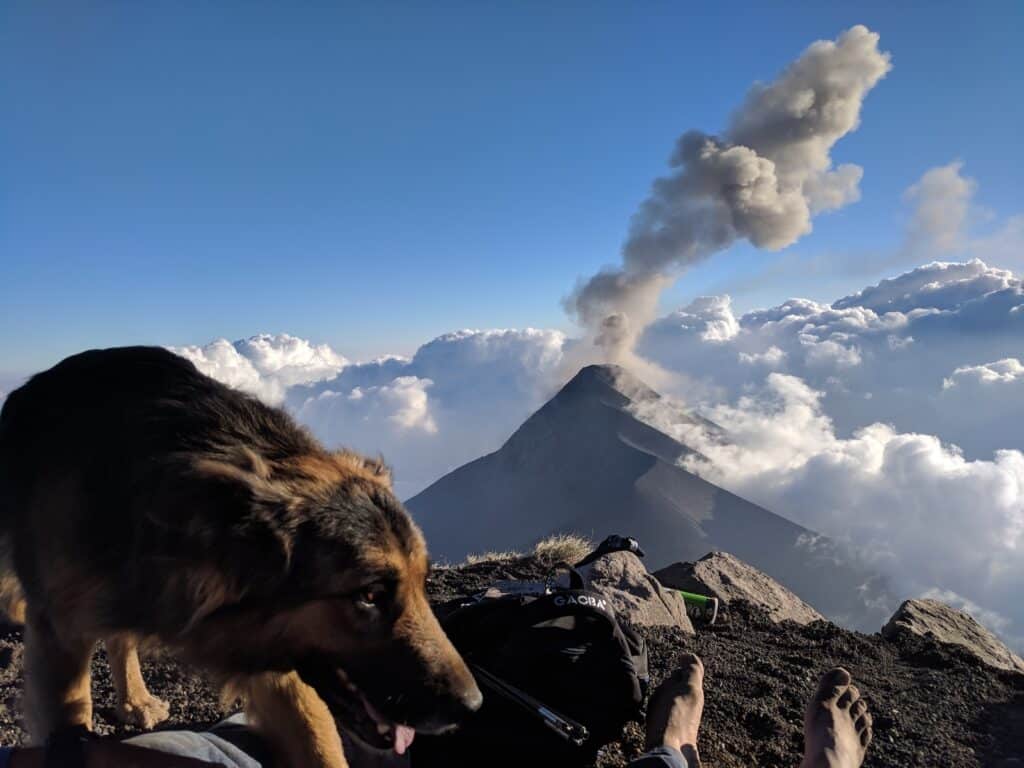 A German shepherd steps into the frame with its tongue lolling happily while Acatenango Volcano shoots grey ash into a blue sky. A sea of white clouds parades into the background.