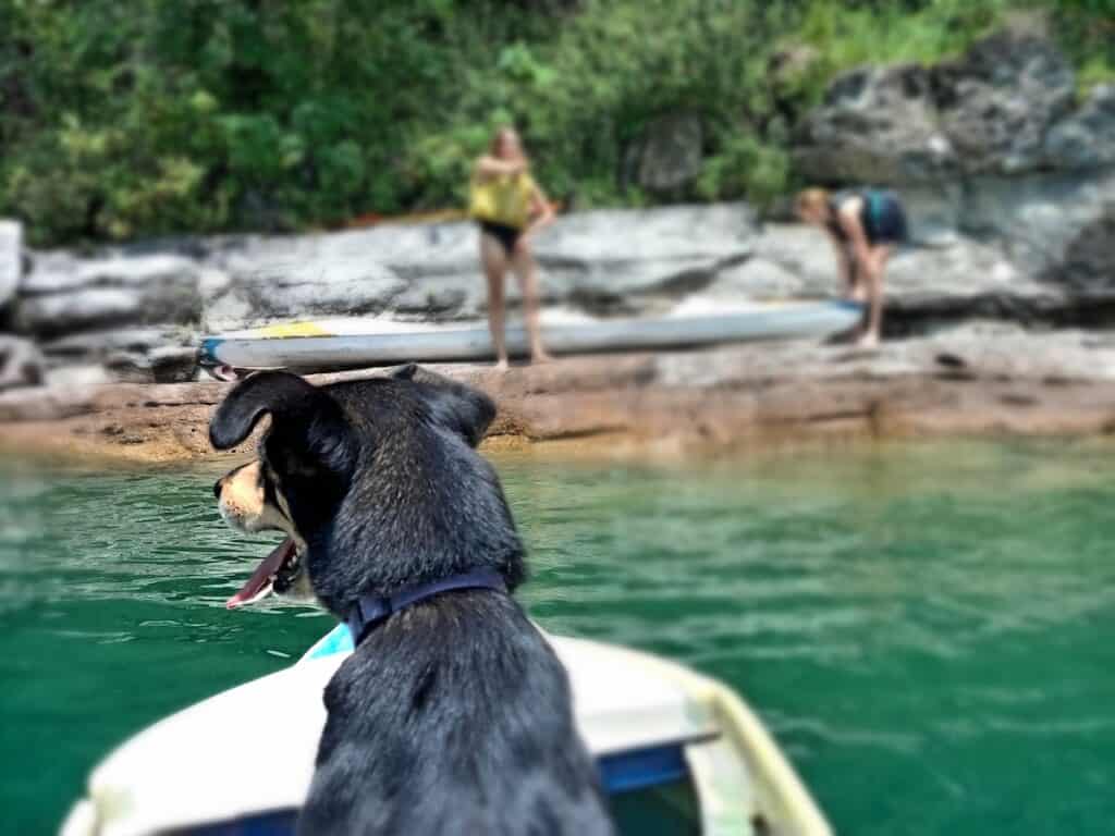 Un perro está sentado en un kayak, con la lengua fuera y jadeando alegremente, mientras al fondo hay una repisa de roca y dos chicas con el kayak que han sacado del agua. Éstas son las repisas de roca del lado oeste de la Bahía de Panajachel o Bahía de Buenaventura, y son un lugar divertido para parar, nadar, tomar el sol y hacer un picnic.