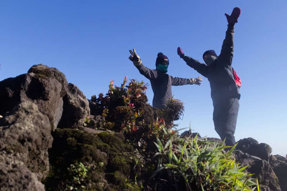 Two hikers wearing knit camps, buffs, and warm clothing raise their arms in triumph behind a steam vent adorned with small plants.